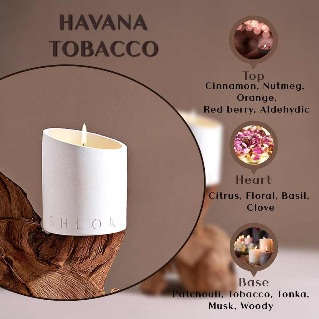 Havana - Tobacco & Atlantic Ocean Candle - Shlok Living 